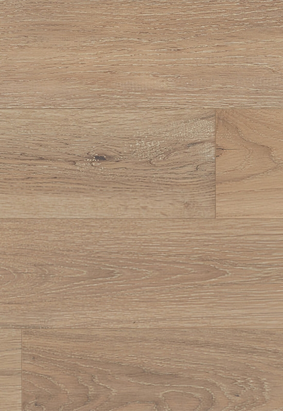 Alba quercus CXXV manus-radi + PRAESTRA solidum silvam Tabulatum