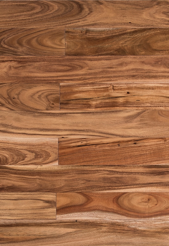 Parvus folium acacia XC plana solidus silvam Tabulatum